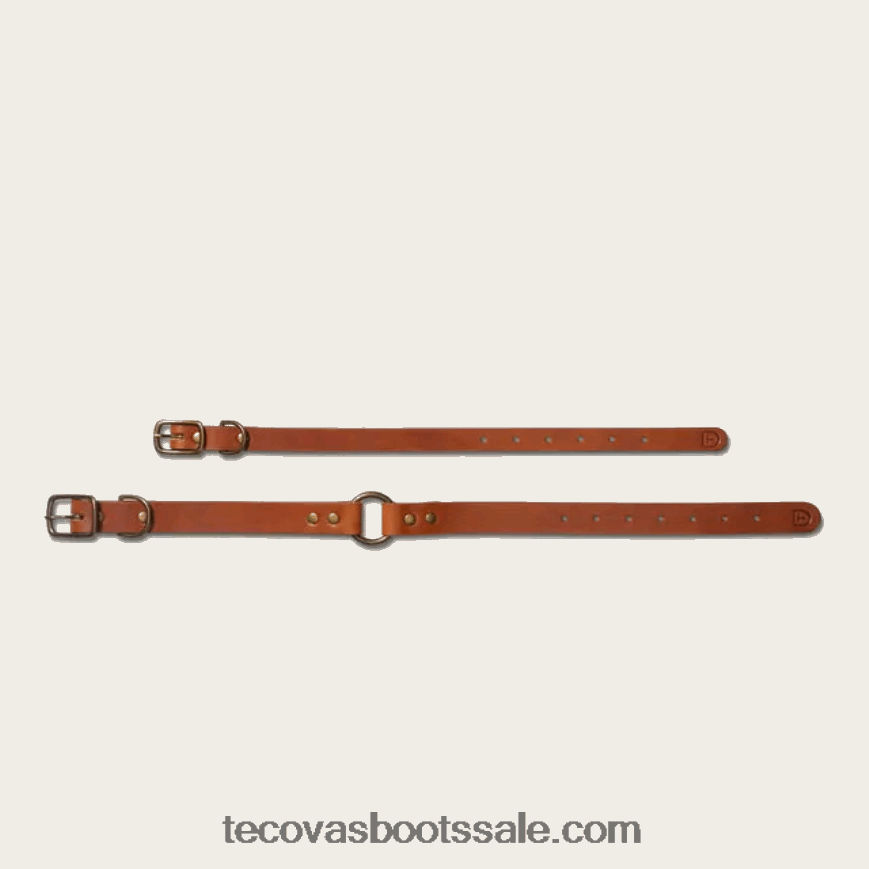 Tecovas HXZDP94hondenhalsband bourbon