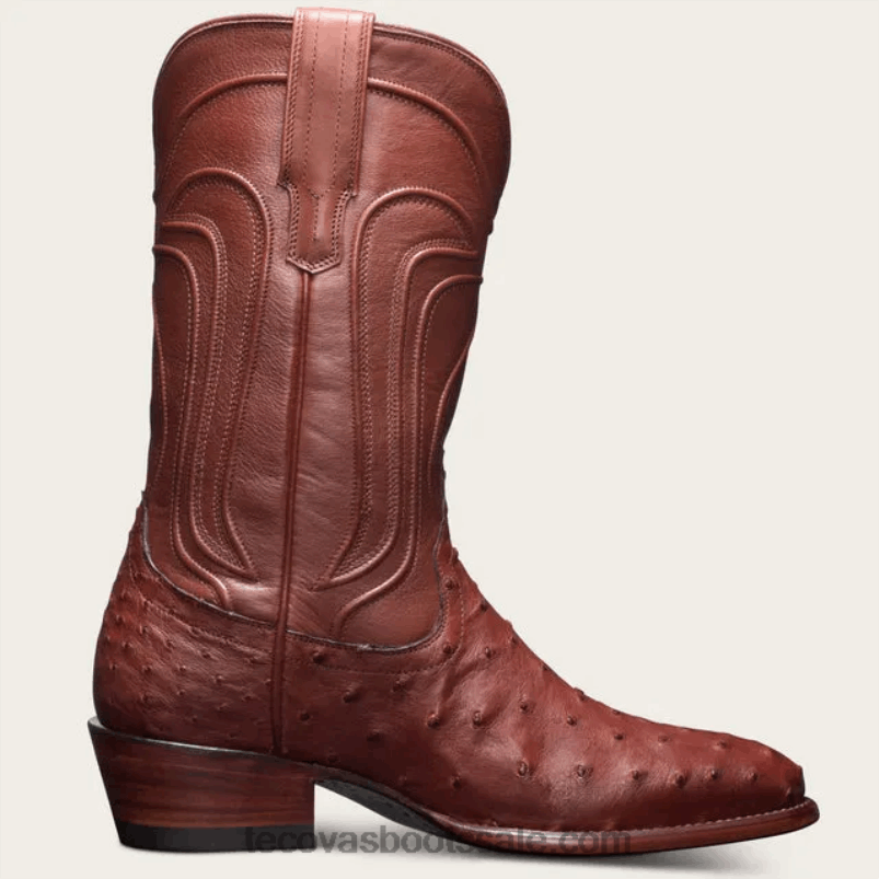 Tecovas de jessie vrouwen bourbon struisvogel L46LF122